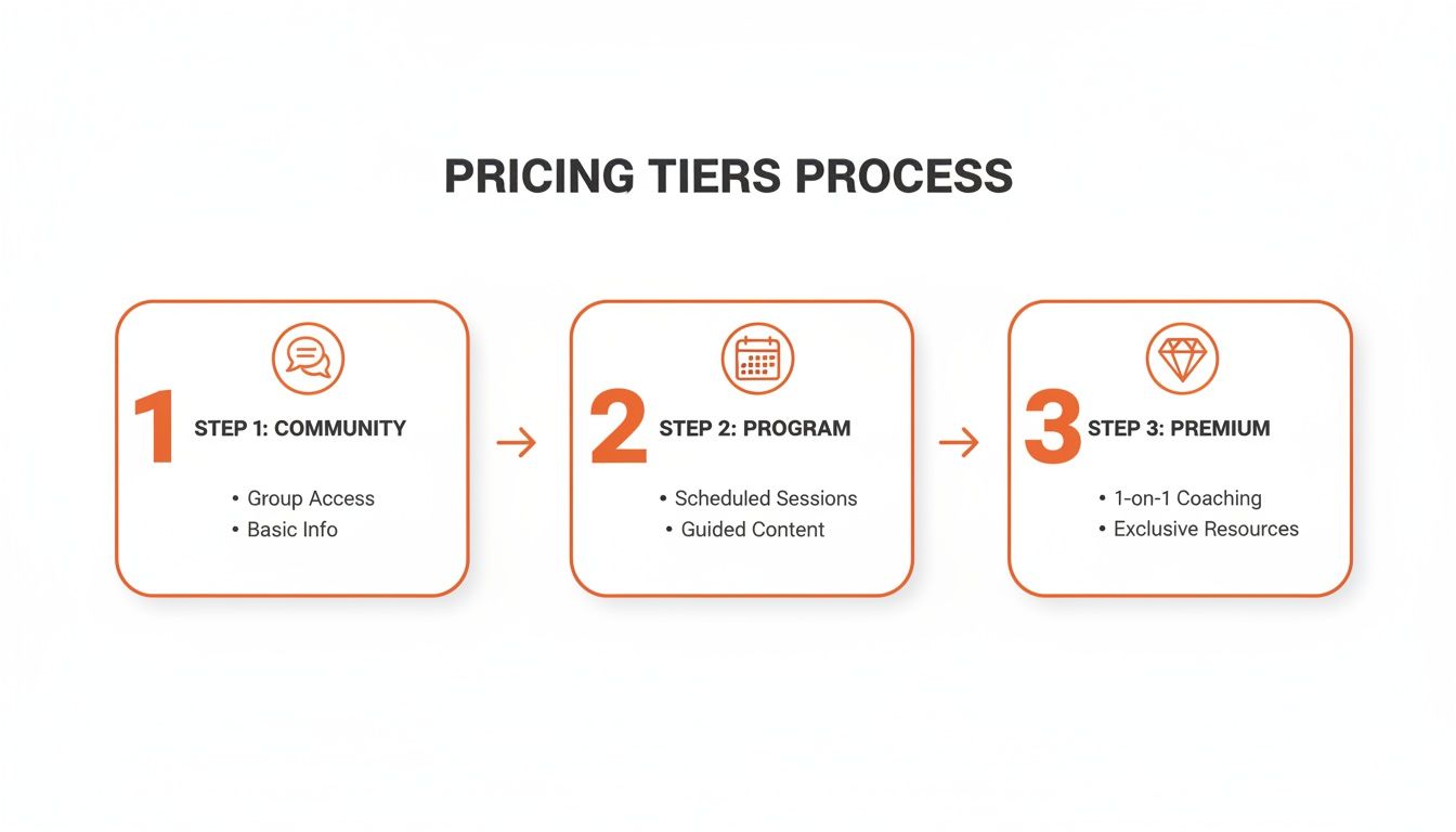Schema che mostra un processo a tre livelli: Community, Programma e Premium.